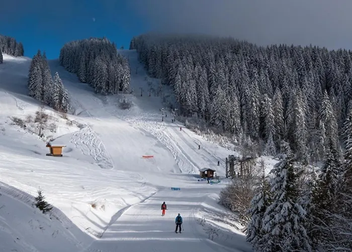 Joli Studio 4 Pers 30M Des Pistes Balcon Plein Sud Au Pieds Des Pistes B27- Draps Non Compris